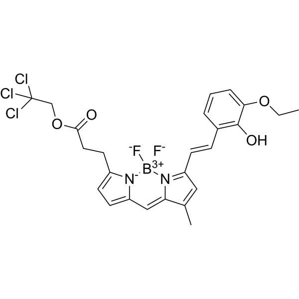 BD-Oligo 1357578-02-9